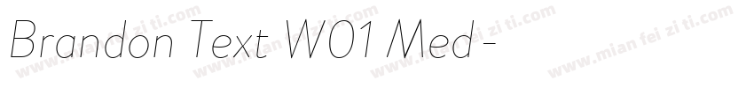 Brandon Text W01 Med字体转换